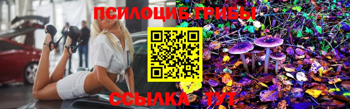 Псилоцибиновые грибы Cubensis Слободской